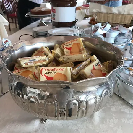 Hotel David Palace